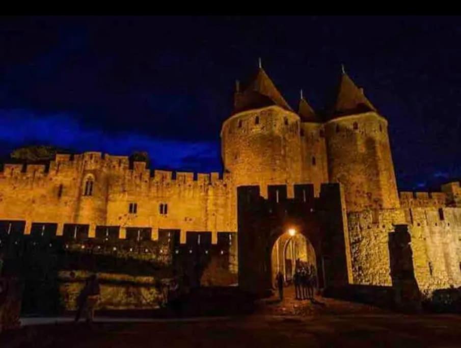 Appartement T2 Avec Vue Chateau Carcasona Exterior foto