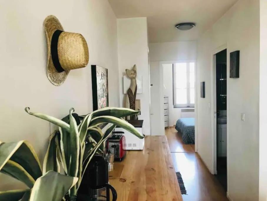 Appartement T2 Avec Vue Chateau Carcasona Exterior foto