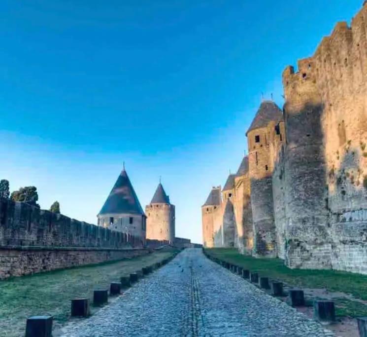 Appartement T2 Avec Vue Chateau Carcasona Exterior foto